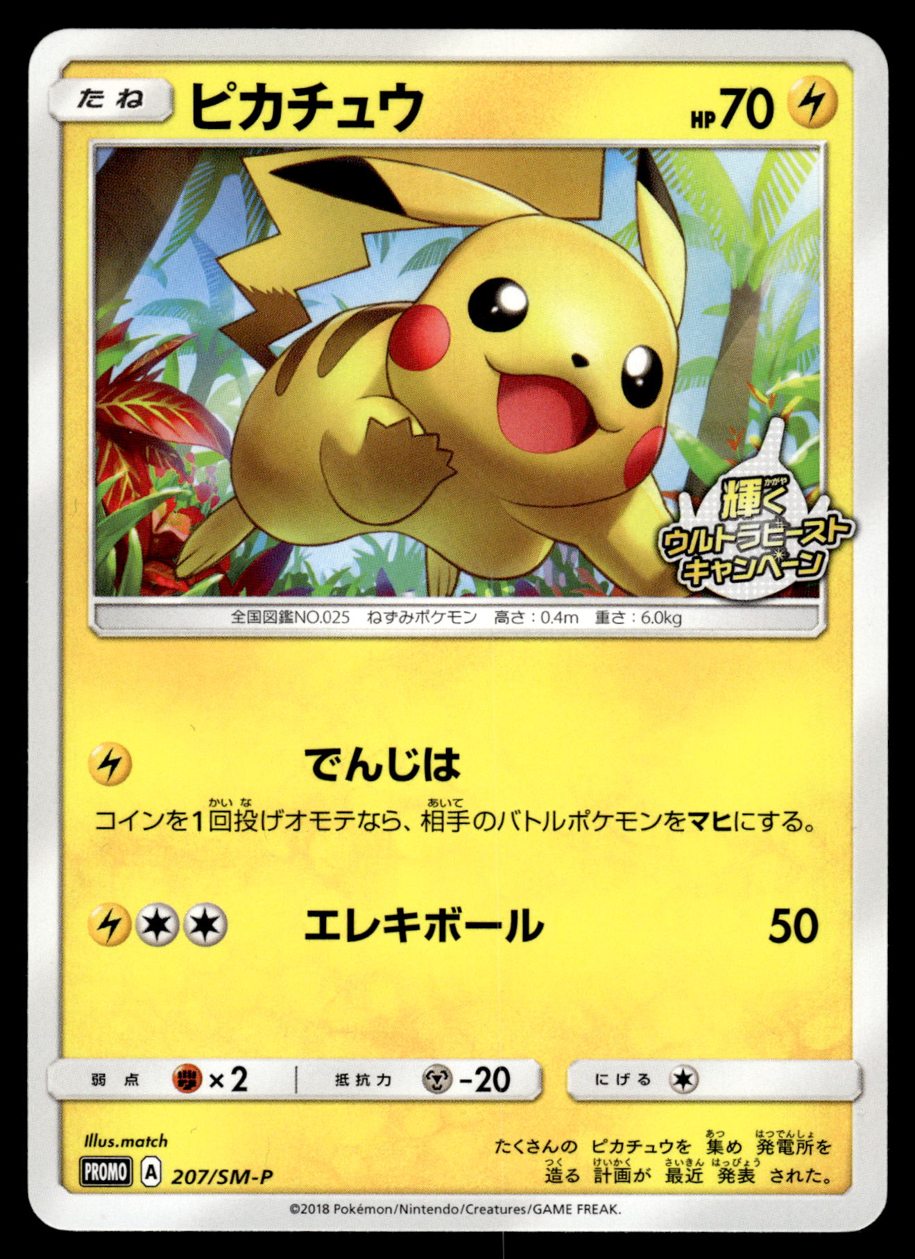 Pikachu 207/SM-P Shining Ultra Beast Camp Japanese Promo Pokemon [NM]