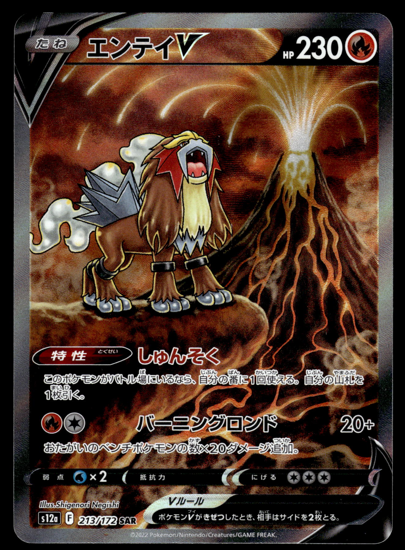 Entei V 213/172 s12a VSTAR Universe Japanese Pokemon [NM] (1)