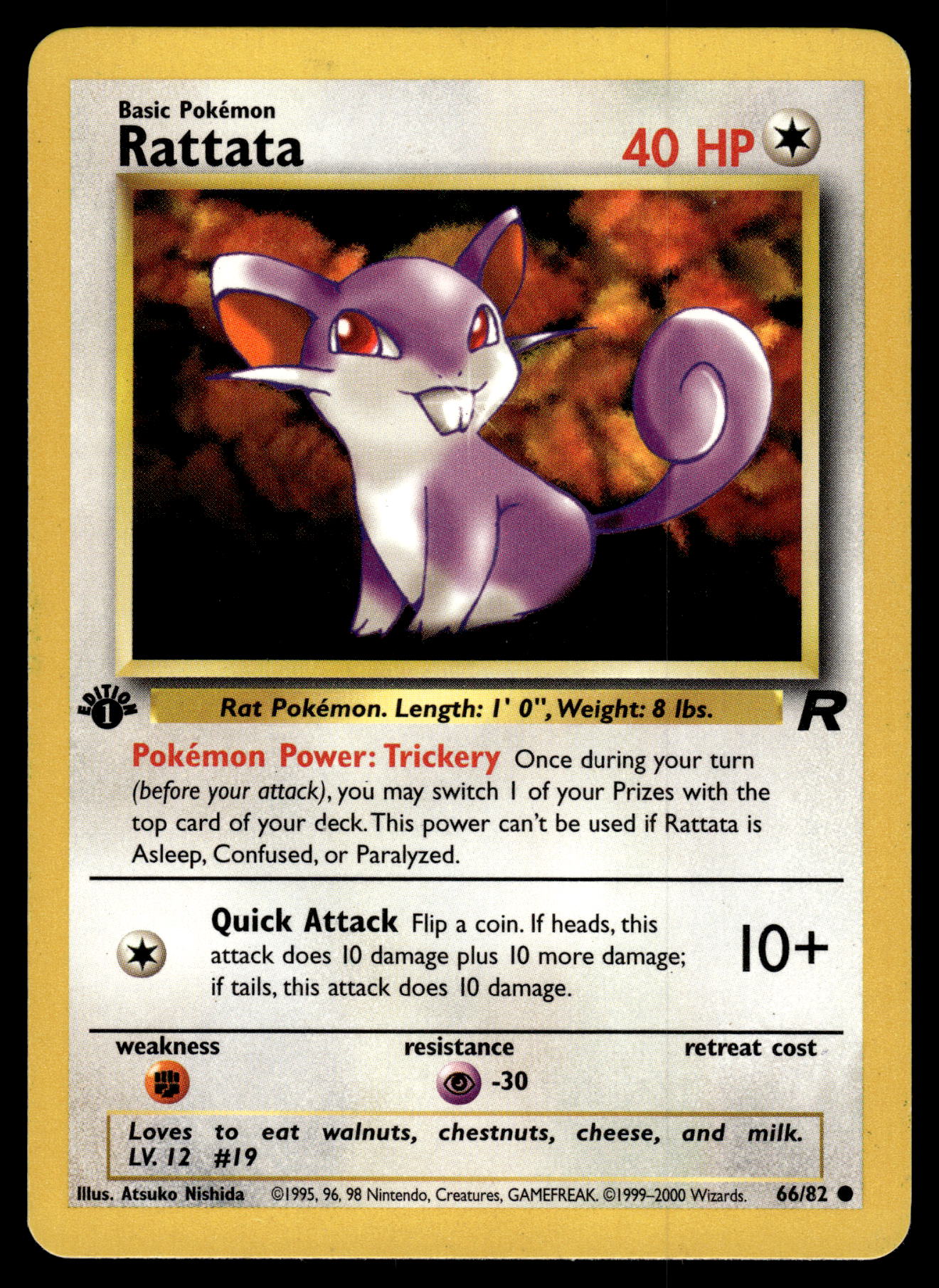 Rattata 66/82 WOTC Team Rocket 1st Edition Pokemon [PL]