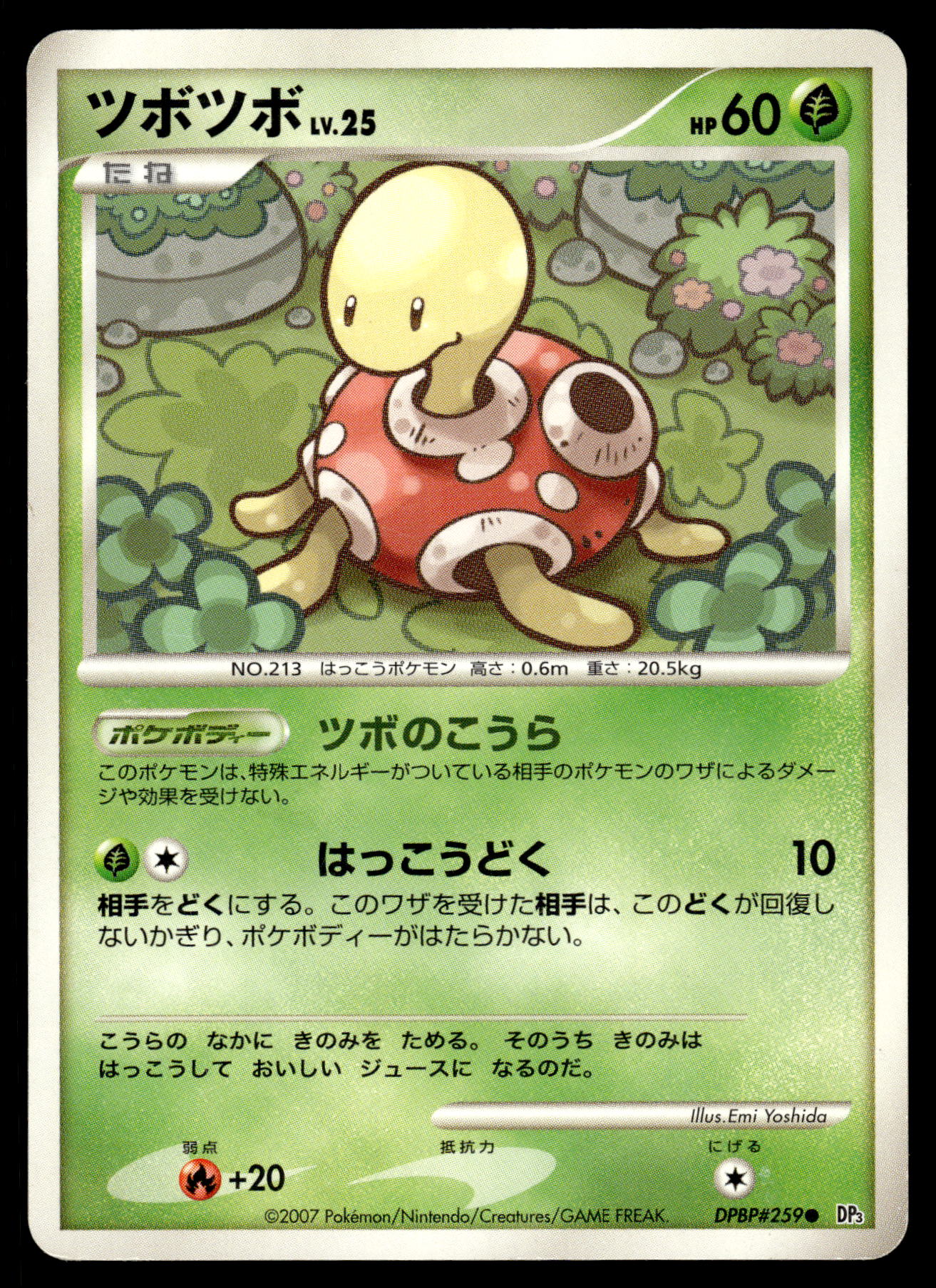 Shuckle DPBP#259 DP3 Shining Darkness Japanese Pokemon [DMG]