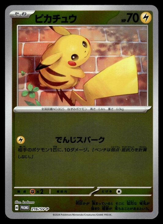 Pikachu 216/SV-P Promo Japanese Pokemon [NM] (1)