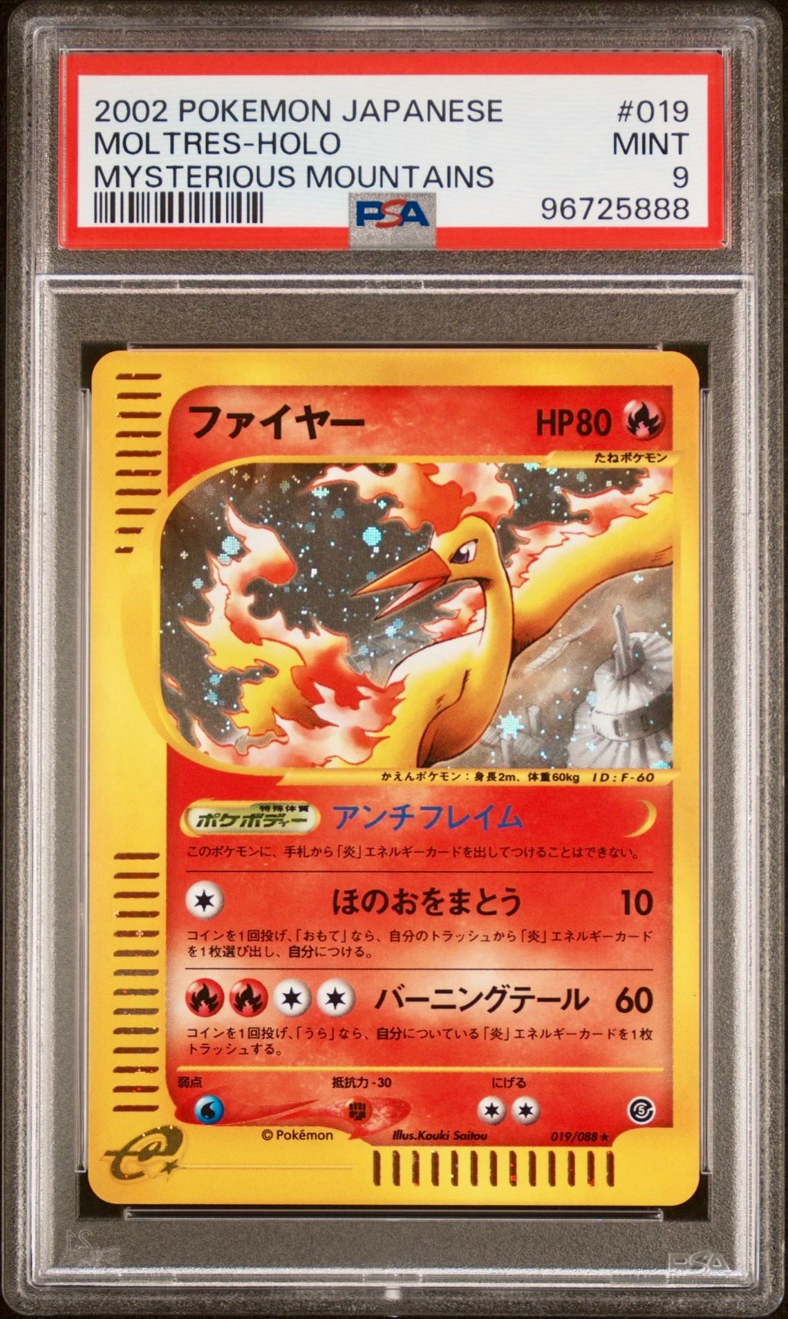 PSA 9 - Moltres Holo 019/088 Mysterious Mountains - Pokemon