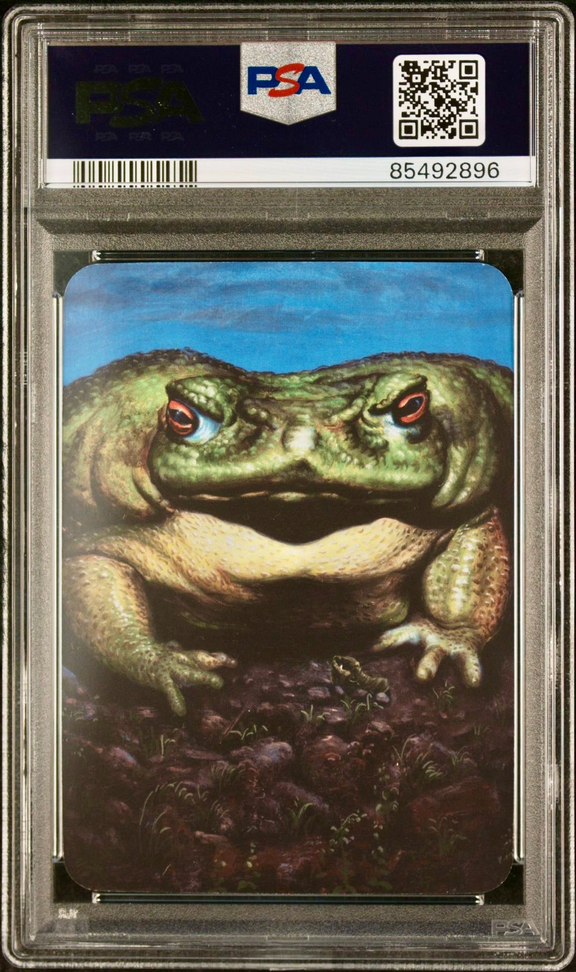 PSA 9 - Brobdingnag Bullfrog (Exceptional Foil) Beta - Sorcery