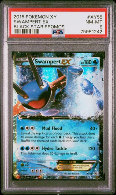 PSA 8 - Swampert EX XY55 Black Star Promo Pokemon XY  - Pokemon