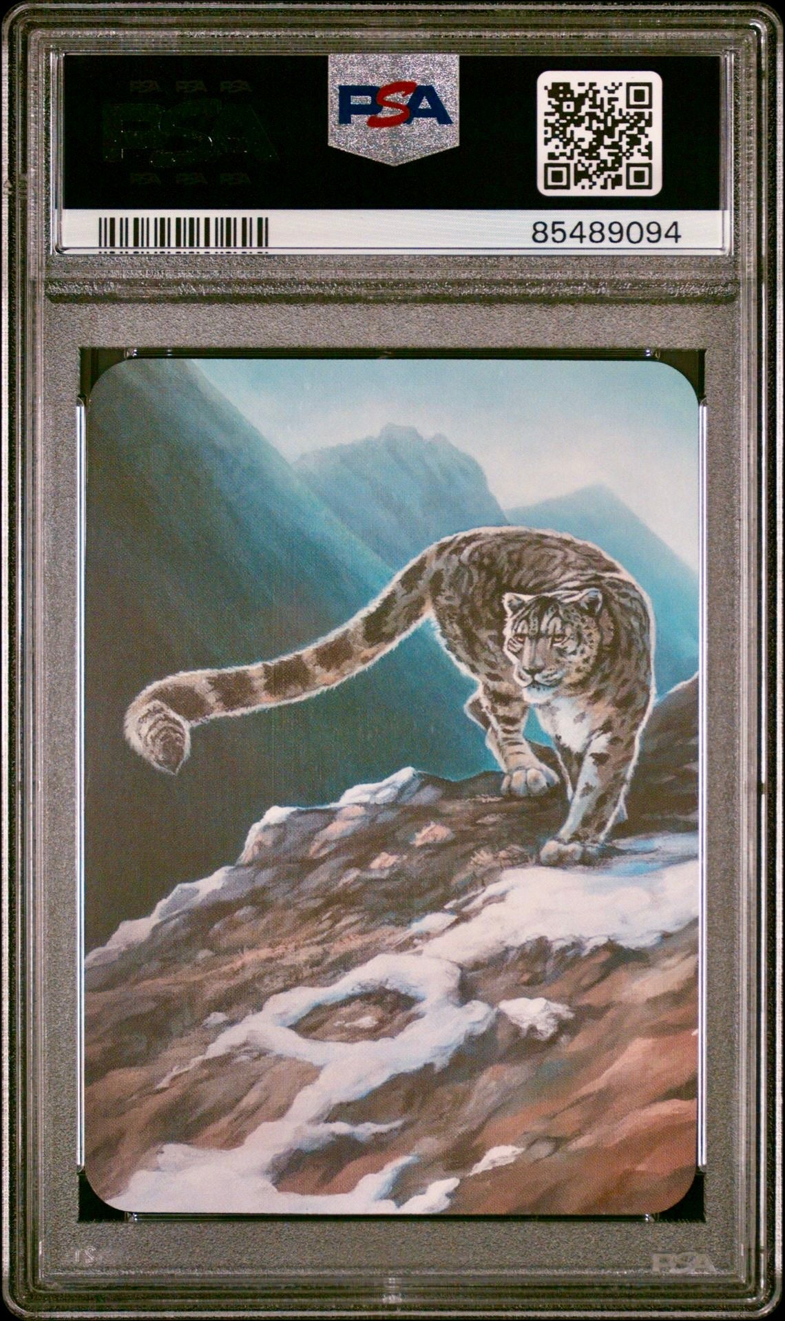 PSA 9 - Snow Leopard (Ordinary Foil) Alpha - Sorcery