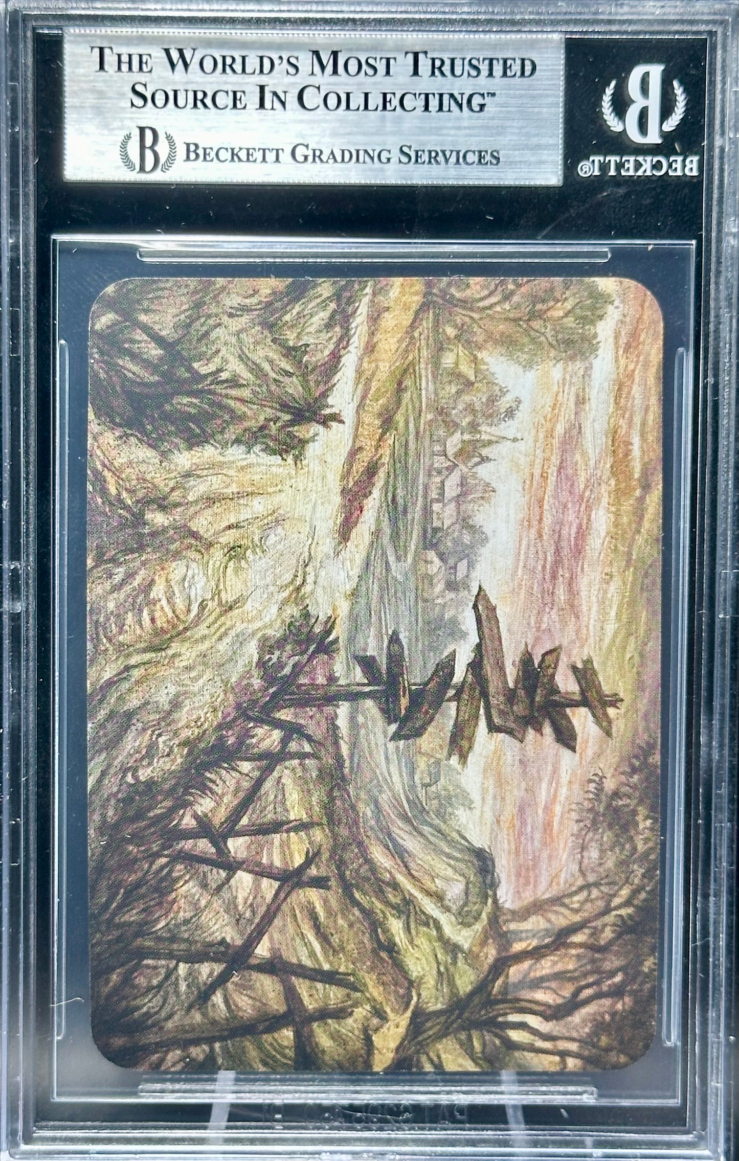 BGS 9 - Crossroads (Elite Foil) Alpha - Sorcery