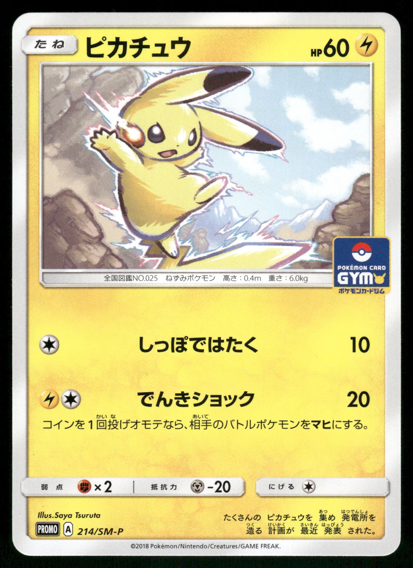 Pikachu 214/SM-P Gym Promo Japanese Pokemon [NM]