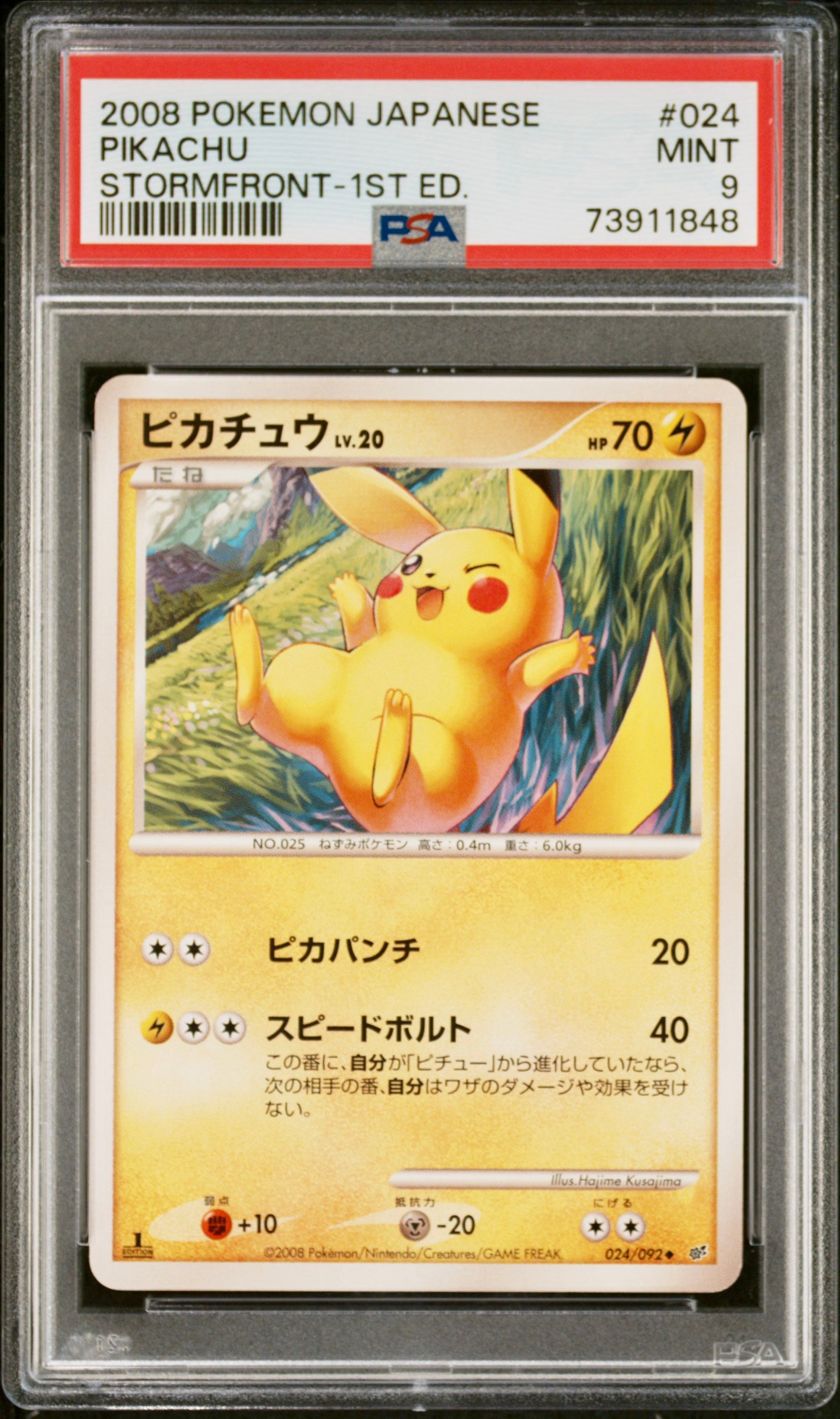 PSA 9 - Pokemon - Pikachu - Stormfront 1st Ed - 024/092