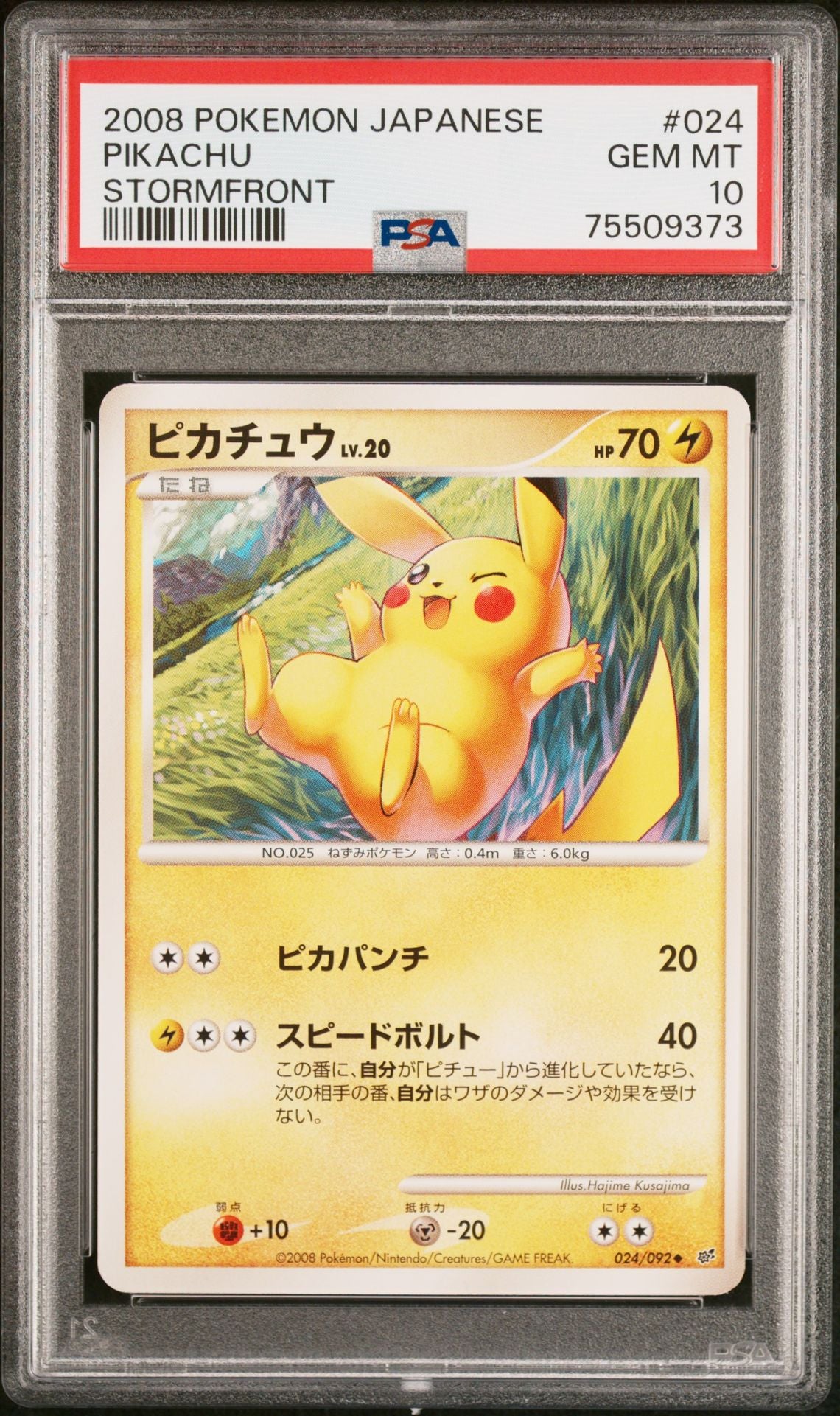 PSA 10 - Pikachu 024/092 DP Stormfront 1st Edition - Pokemon