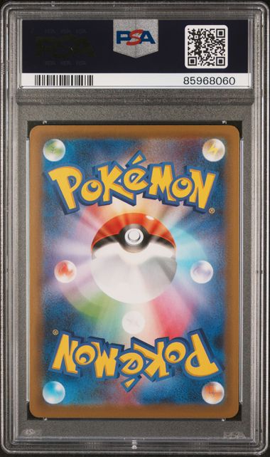 PSA 10 - Rayquaza V 210/S-P Dragon Pokemon V Campaign - Pokemon